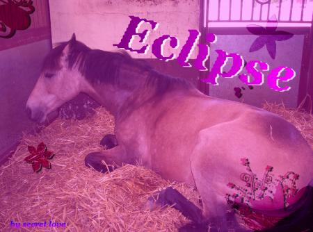 eclipse