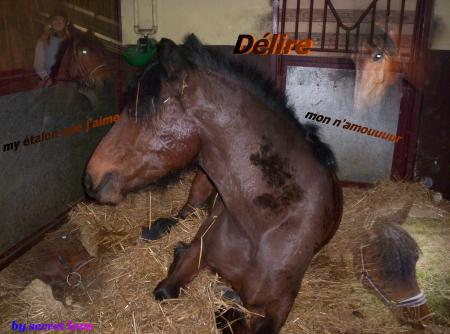 delire