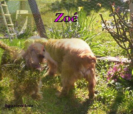 Zoé