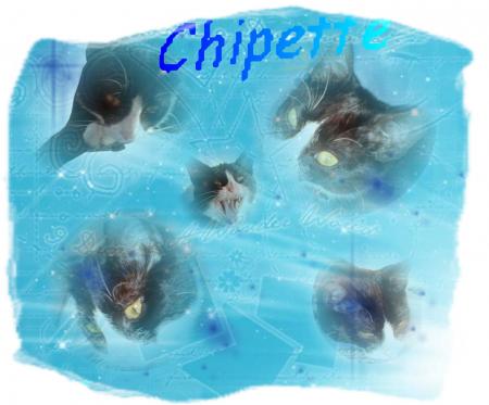 chipette