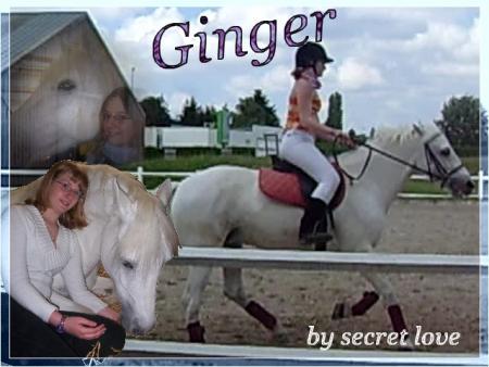 ginger